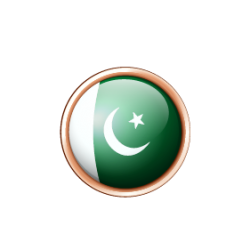 Urdu Language